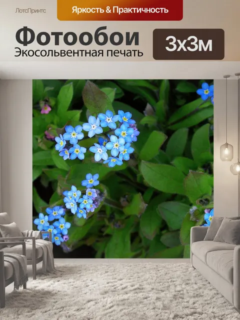 Фотообои Синие цветы