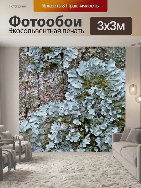 Фотообои Лишайник