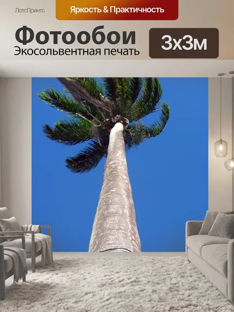 Фотообои Дерево пальмы