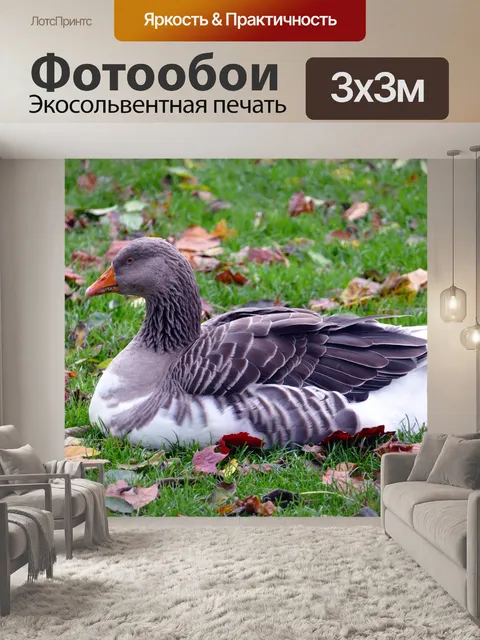 Фотообои Гусь