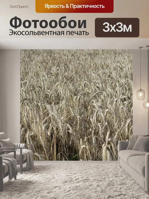 Фотообои Пшеница