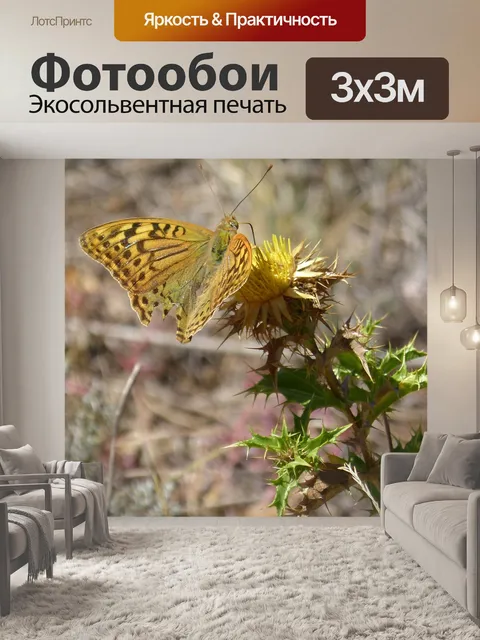 Фотообои Бабочка
