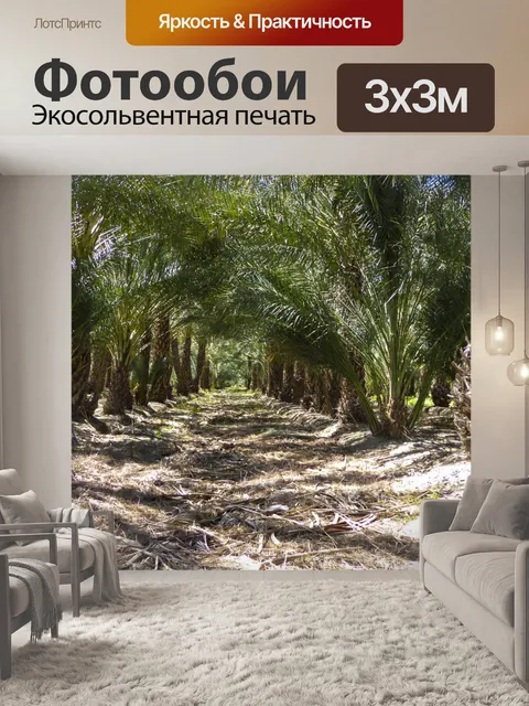 Фотообои Дата Пальмы Орчард