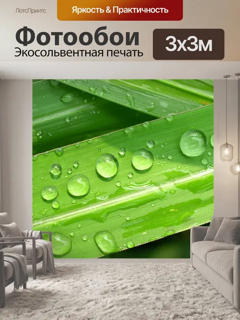 Фотообои Капля воды на листе