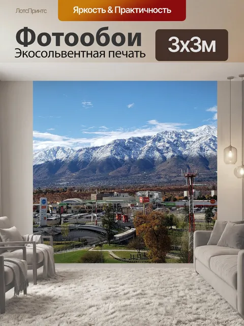 Фотообои Снегопад