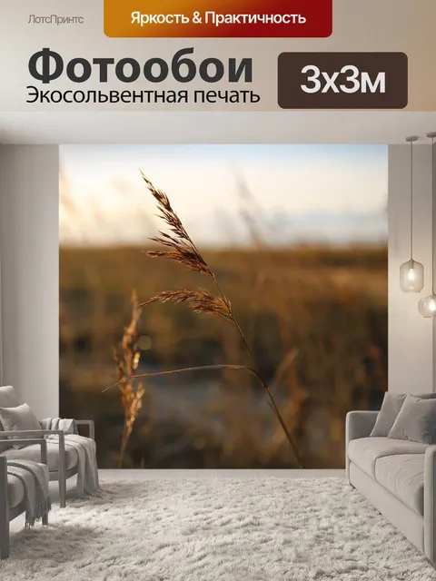 Фотообои Пляжная трава