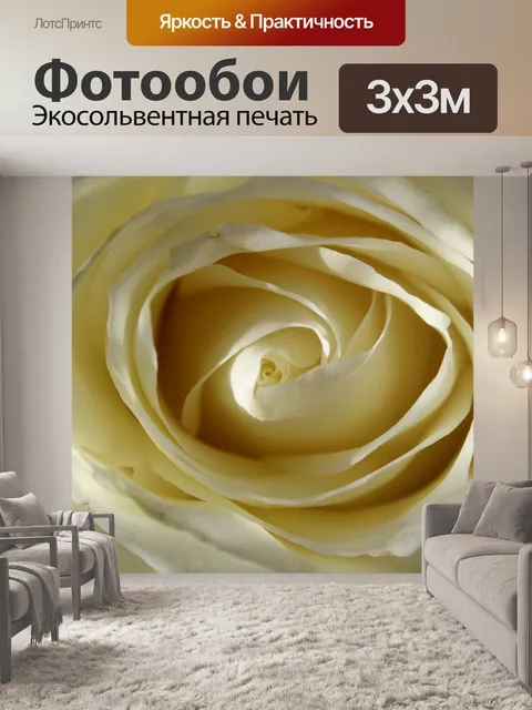 Фотообои Белая роза