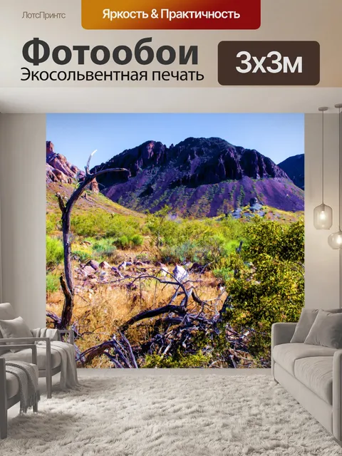 Фотообои Окрашенная пустыня