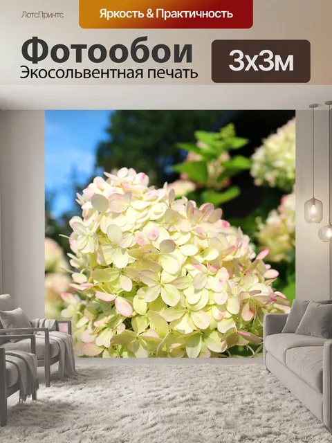 Фотообои Бело-розовые цветы