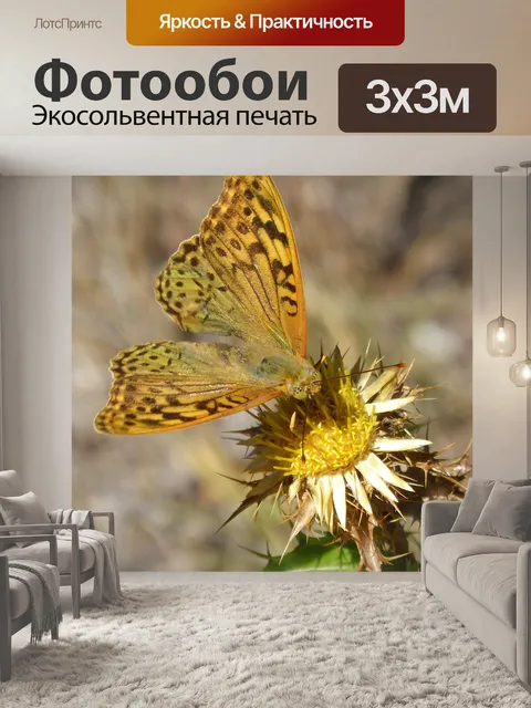 Фотообои Бабочка