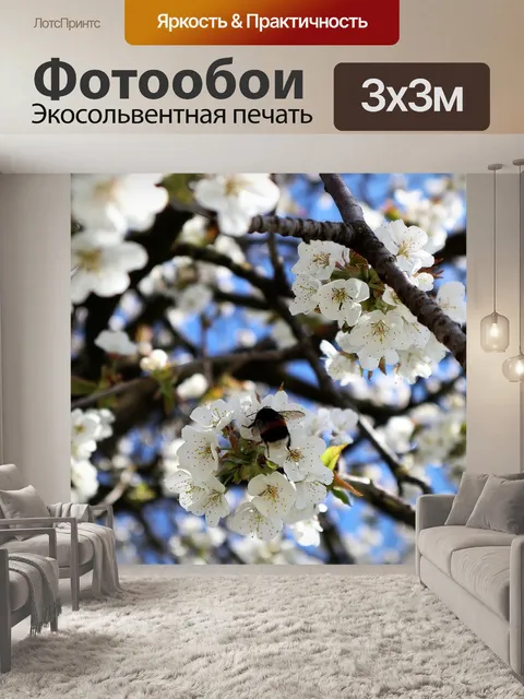 Фотообои Шмель