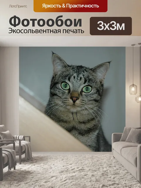 Фотообои Кошка