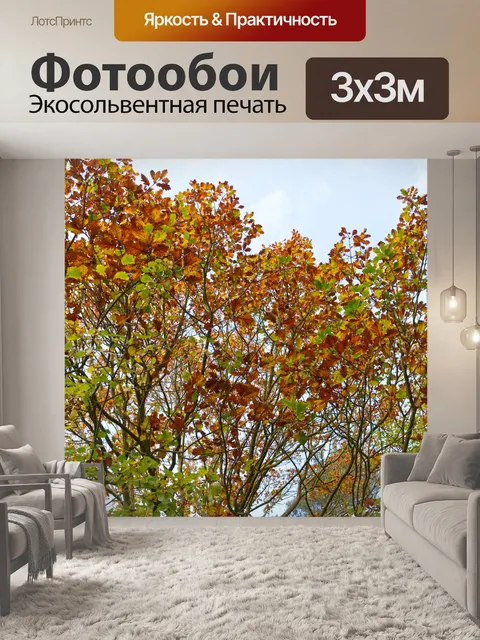 Фотообои Падение
