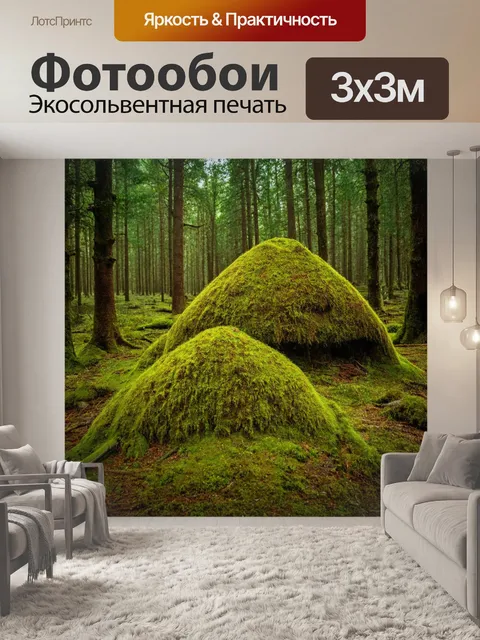 Фотообои лес с старыми муравейниками, покрытыми мхом и окружающими деревьями