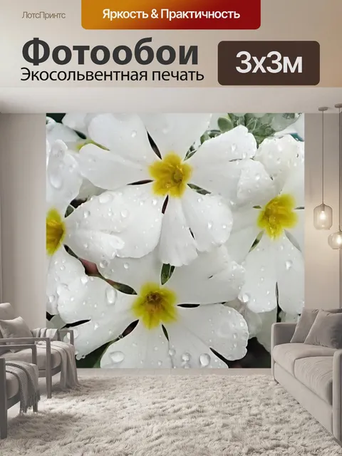 Фотообои Цветы