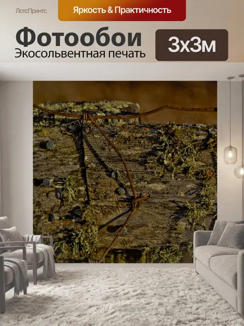 Фотообои Гвозди на заборе Закрыть