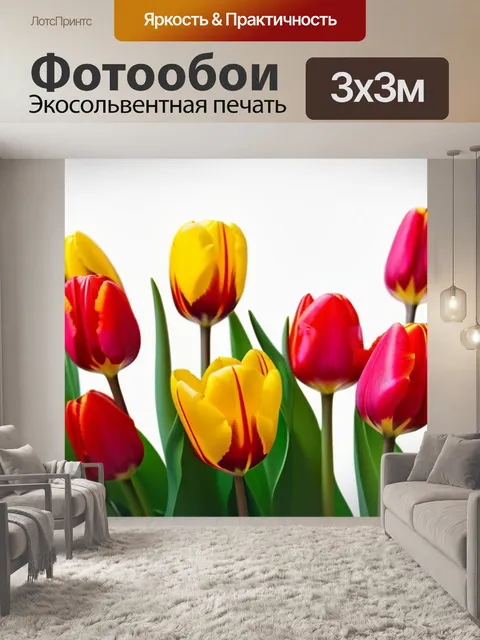 Фотообои яркие тюльпаны на белом фоне