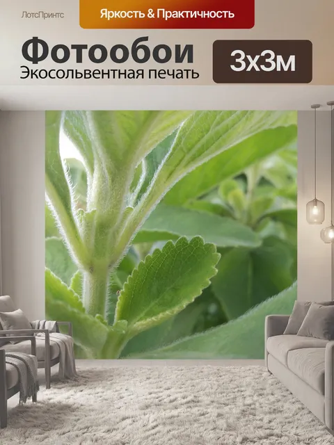 Фотообои Зеленый