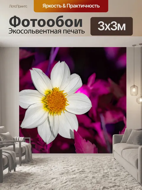 Фотообои цветок, георгин