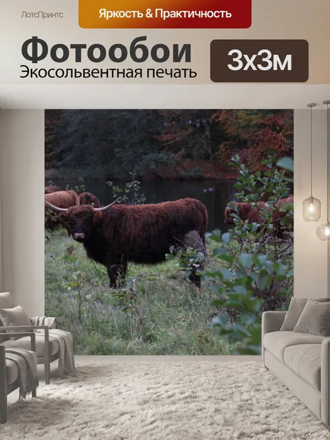 Фотообои Крупный рогатый скот