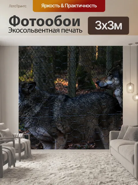 Фотообои Волки