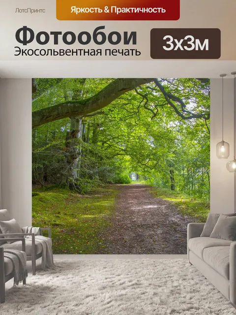 Фотообои лес