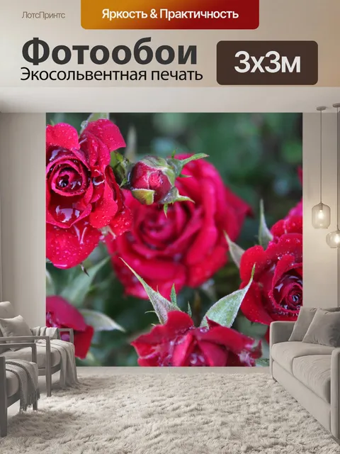 Фотообои Влажные Молодые Розы