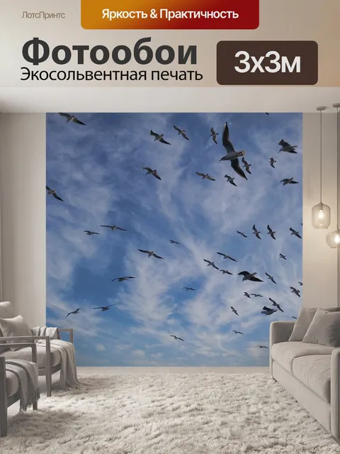 Фотообои Чайки