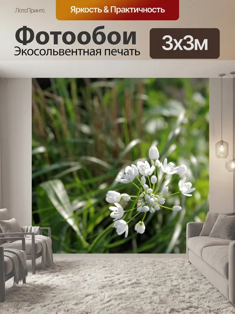 Фотообои Дикий цветок дикого чеснока
