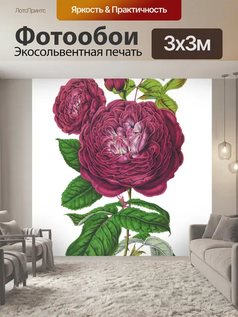 Фотообои Винтажный цветок розы Клипарт