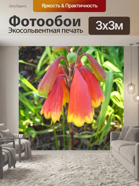 Фотообои Цветы