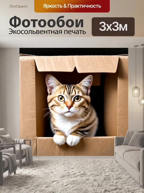 Фотообои кошка в бумажной коробке с окошком