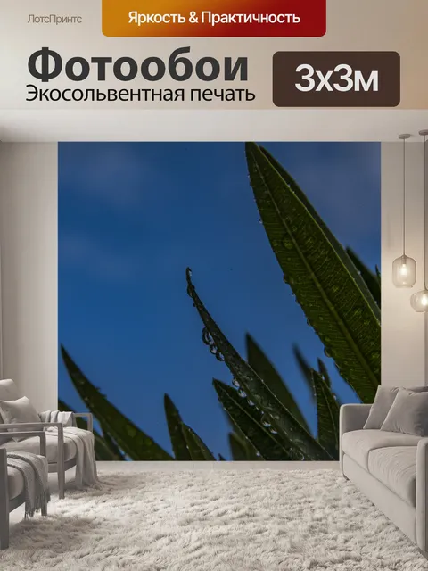 Фотообои Дождь на листьях