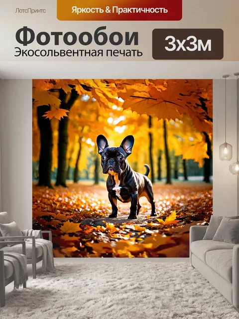 Фотообои на фоне шикарного осеннего леса