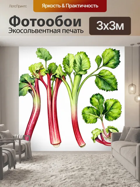Фотообои тематика ботанической иллюстрации ревеня