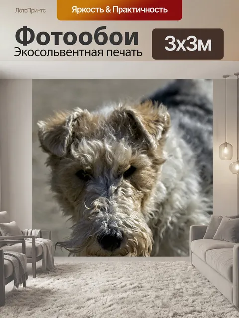 Фотообои Фокстерьер