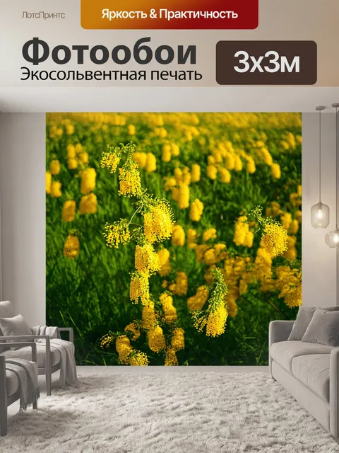 Фотообои поле мимоз, залитое солнечным светом, с множеством ярких жёлтых цветов, колеблющихся на лёгком ветру