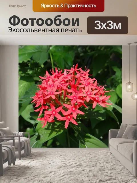 Фотообои Пентас