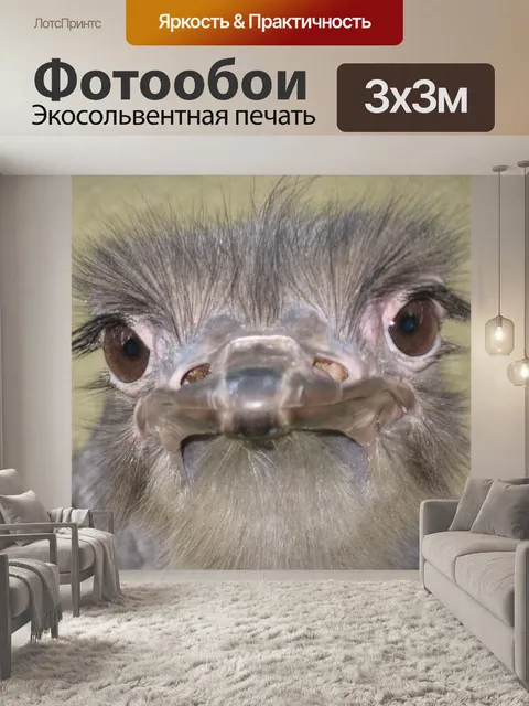 Фотообои Страус