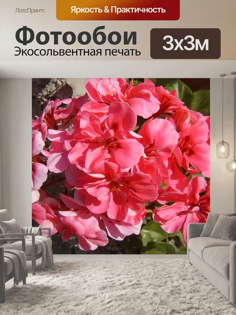 Фотообои Розовый цветок