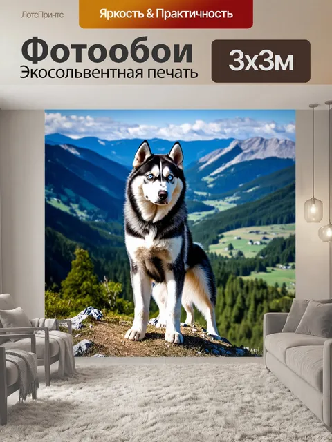 Фотообои собака сибирский хаски, стоящая на горном пике с потрясающим видом на долину