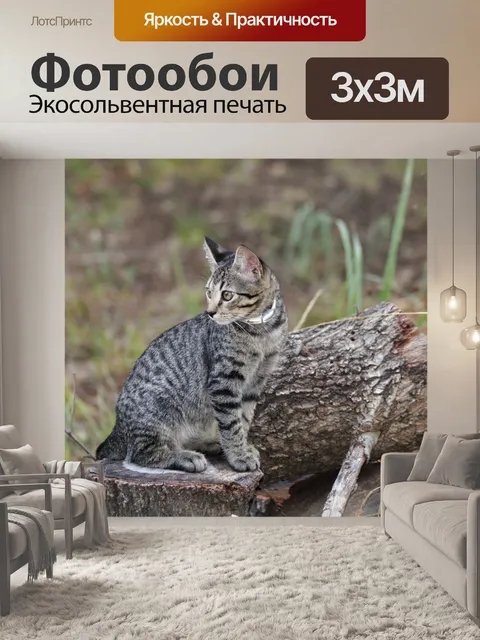 Фотообои Серый кот сидит на бревнах 2