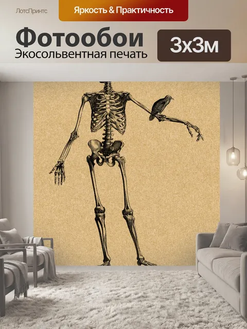 Фотообои Хэллоуин скелет