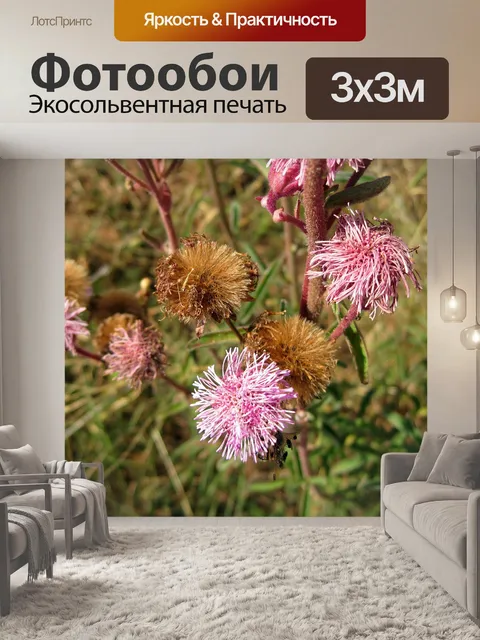 Фотообои разлагающихся розовые помпоны