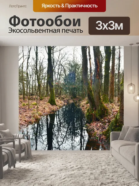Фотообои Лес