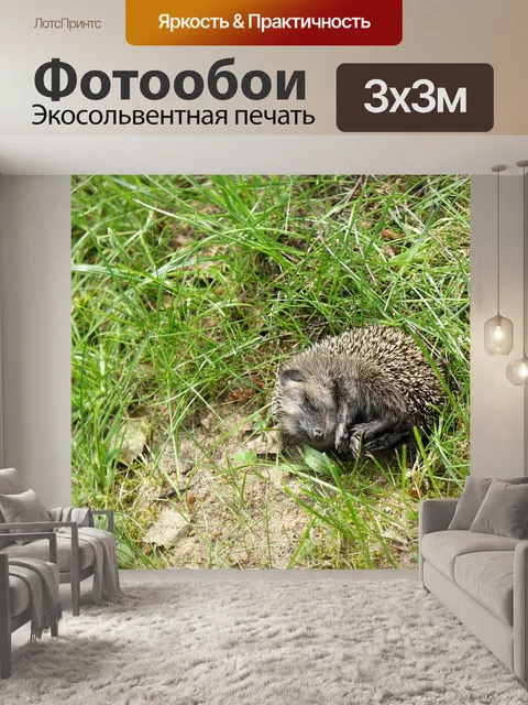 Фотообои Трава