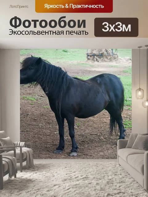 Фотообои темно-коричневый пони с поднятой головой