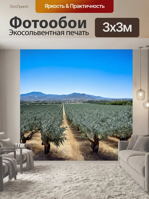 Фотообои греция, пейзаж с бесконечными оливковыми рощами, горы на фоне, голубое небо без облаков, ощущение слияния с…