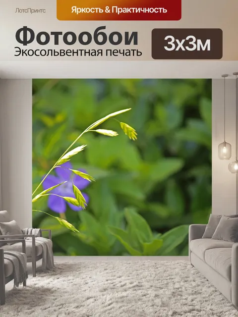 Фотообои веточка дикой травы с зеленым семенем