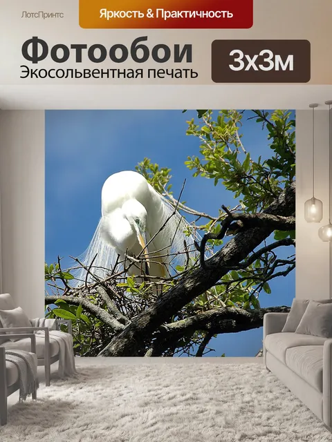 Фотообои Большая белая цапля